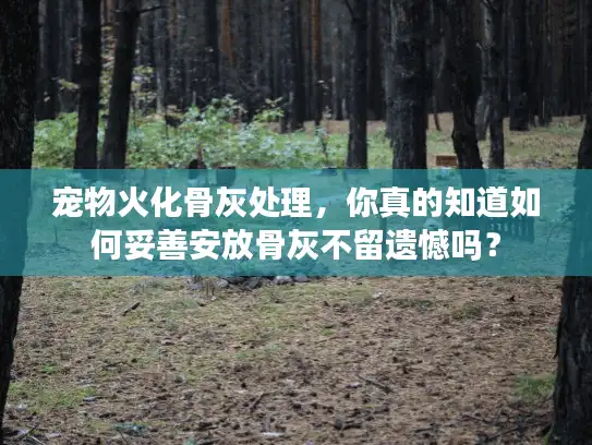 宠物火化骨灰处理，你真的知道如何妥善安放骨灰不留遗憾吗？