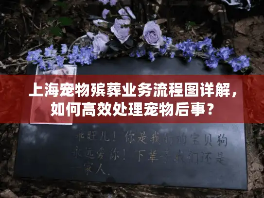 上海宠物殡葬业务流程图详解，如何高效处理宠物后事？