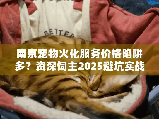 南京宠物火化服务价格陷阱多？资深饲主2025避坑实战秘诀