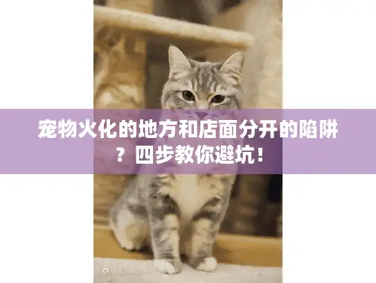 宠物火化的地方和店面分开的陷阱？四步教你避坑！