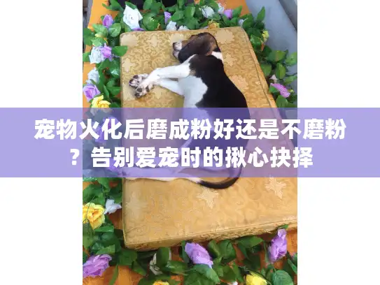宠物火化后磨成粉好还是不磨粉？告别爱宠时的揪心抉择
