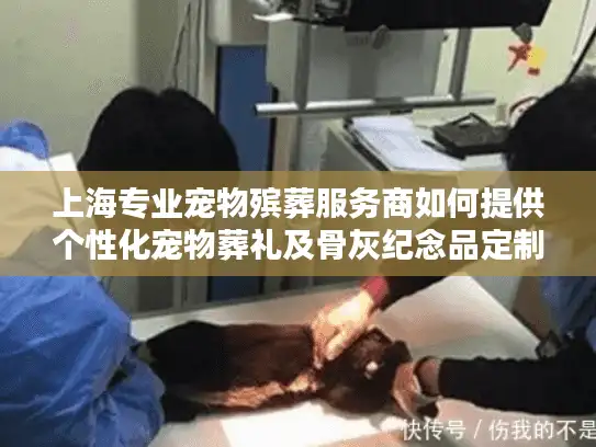 上海专业宠物殡葬服务商如何提供个性化宠物葬礼及骨灰纪念品定制服务
