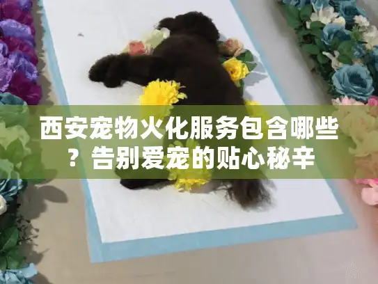 西安宠物火化服务包含哪些？告别爱宠的贴心秘辛