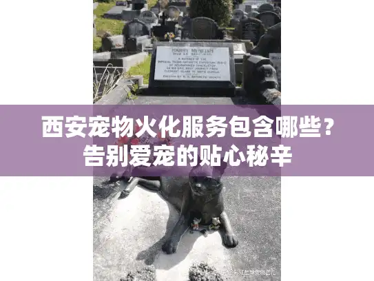西安宠物火化服务包含哪些？告别爱宠的贴心秘辛