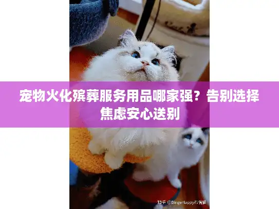 宠物火化殡葬服务用品哪家强？告别选择焦虑安心送别