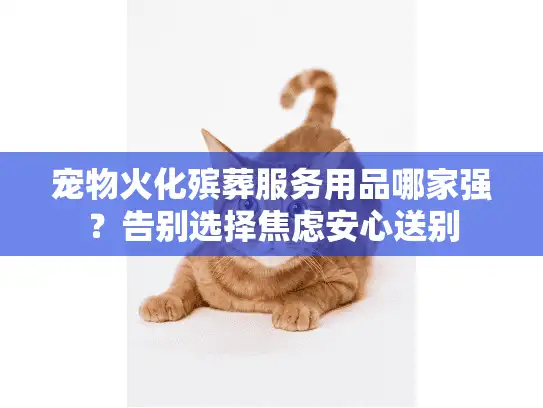 宠物火化殡葬服务用品哪家强？告别选择焦虑安心送别