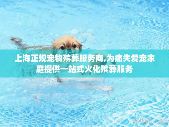 上海正规宠物殡葬服务商,为痛失爱宠家庭提供一站式火化殡葬服务