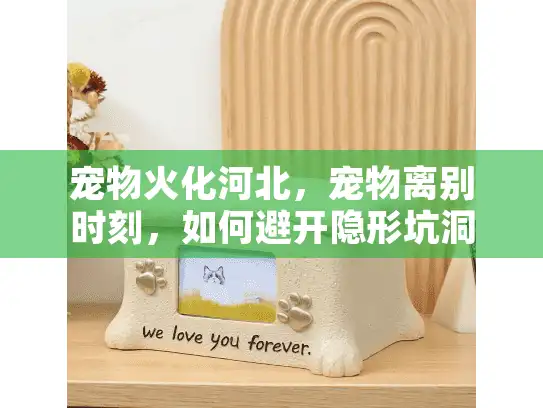 宠物火化河北，宠物离别时刻，如何避开隐形坑洞？
