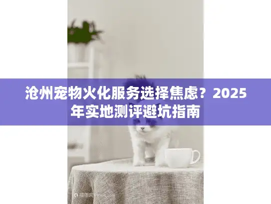 沧州宠物火化服务选择焦虑？2025年实地测评避坑指南