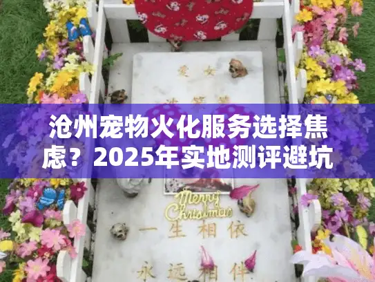 沧州宠物火化服务选择焦虑？2025年实地测评避坑指南