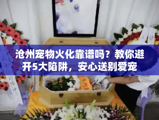 沧州宠物火化靠谱吗？教你避开5大陷阱，安心送别爱宠
