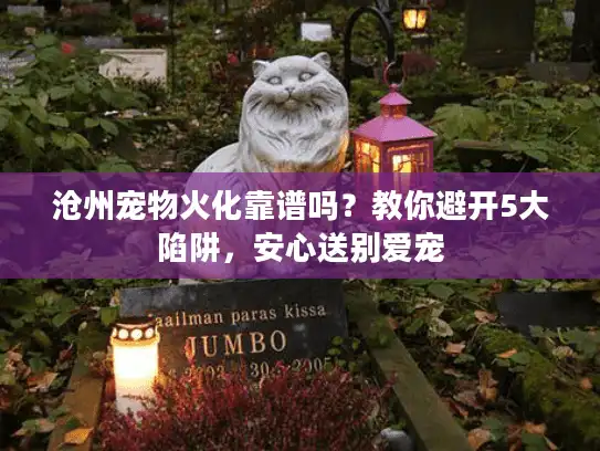 沧州宠物火化靠谱吗？教你避开5大陷阱，安心送别爱宠