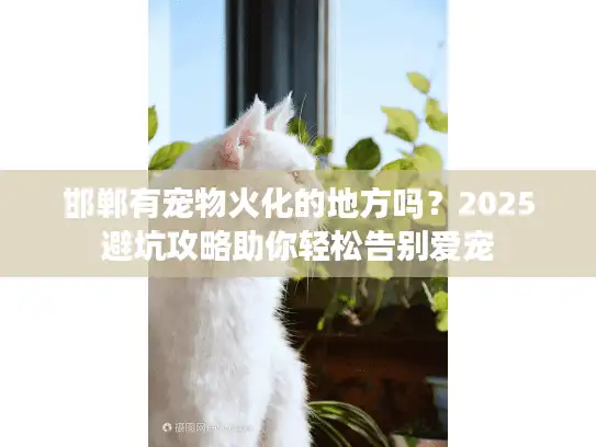 邯郸有宠物火化的地方吗？2025避坑攻略助你轻松告别爱宠