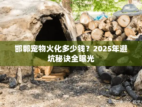 邯郸宠物火化多少钱？2025年避坑秘诀全曝光