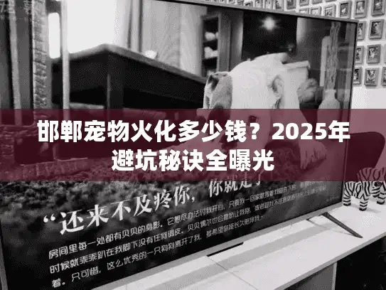 邯郸宠物火化多少钱？2025年避坑秘诀全曝光