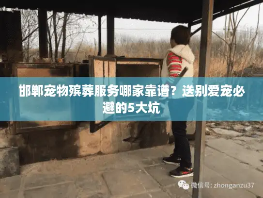 邯郸宠物殡葬服务哪家靠谱？送别爱宠必避的5大坑