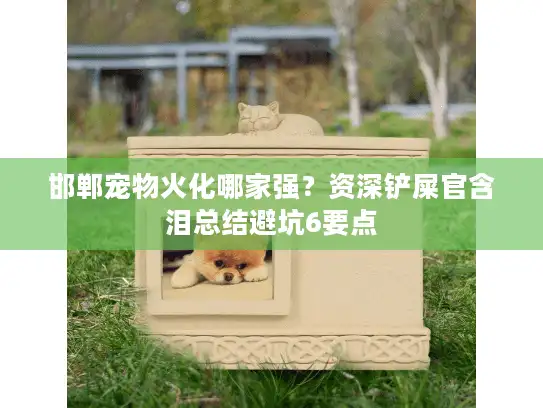 邯郸宠物火化哪家强？资深铲屎官含泪总结避坑6要点