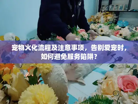宠物火化流程及注意事项，告别爱宠时，如何避免服务陷阱？