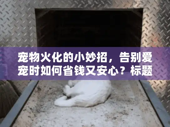 宠物火化的小妙招，告别爱宠时如何省钱又安心？标题字符数，42）