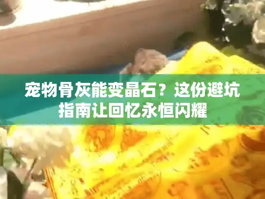 宠物骨灰能变晶石？这份避坑指南让回忆永恒闪耀