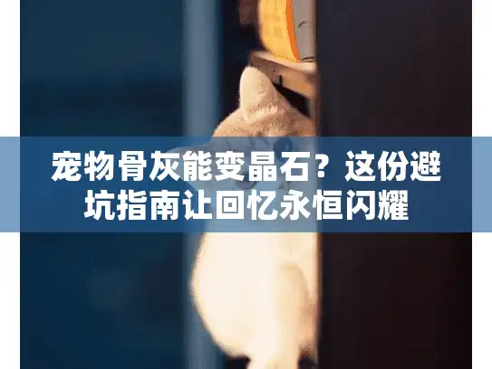宠物骨灰能变晶石？这份避坑指南让回忆永恒闪耀