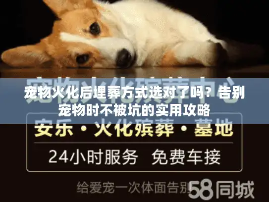 宠物火化后埋葬方式选对了吗？告别宠物时不被坑的实用攻略