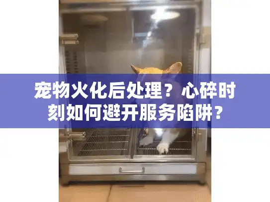 宠物火化后处理？心碎时刻如何避开服务陷阱？