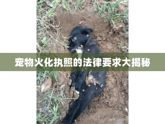 宠物火化执照的法律要求大揭秘