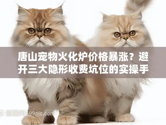 唐山宠物火化炉价格暴涨？避开三大隐形收费坑位的实操手册