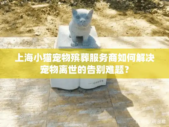 上海小猫宠物殡葬服务商如何解决宠物离世的告别难题？