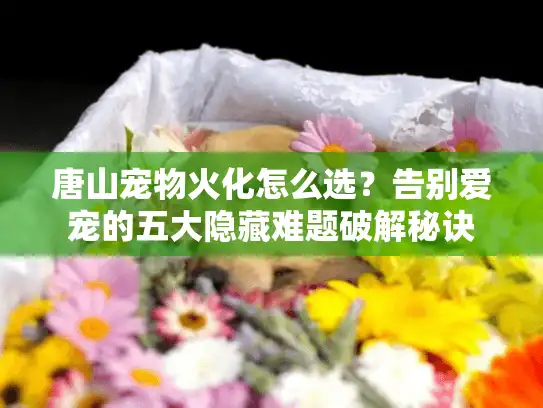 唐山宠物火化怎么选？告别爱宠的五大隐藏难题破解秘诀