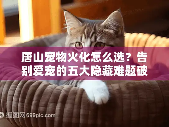 唐山宠物火化怎么选？告别爱宠的五大隐藏难题破解秘诀