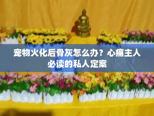 宠物火化后骨灰怎么办？心痛主人必读的私人定案