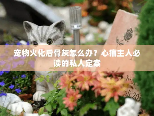 宠物火化后骨灰怎么办？心痛主人必读的私人定案