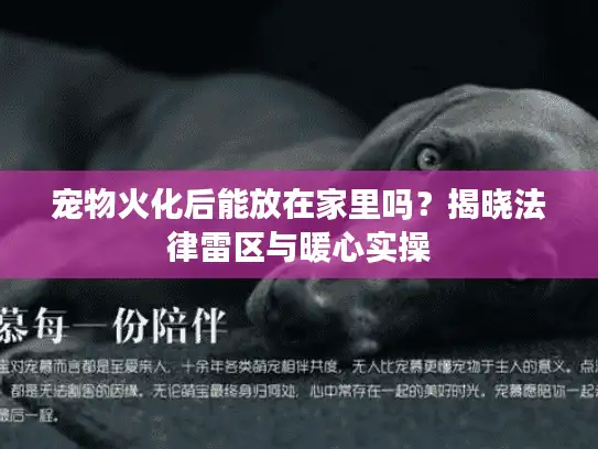 宠物火化后能放在家里吗？揭晓法律雷区与暖心实操