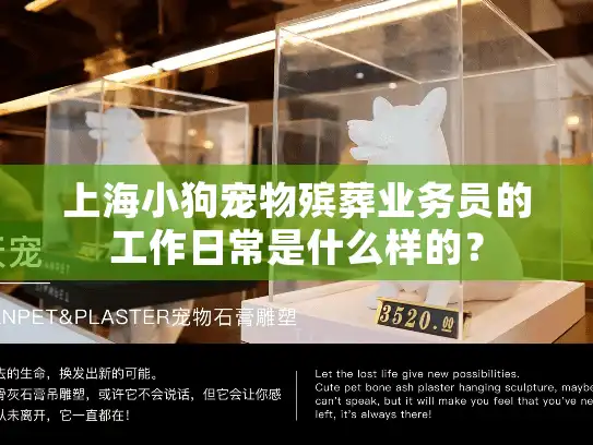 上海小狗宠物殡葬业务员的工作日常是什么样的？