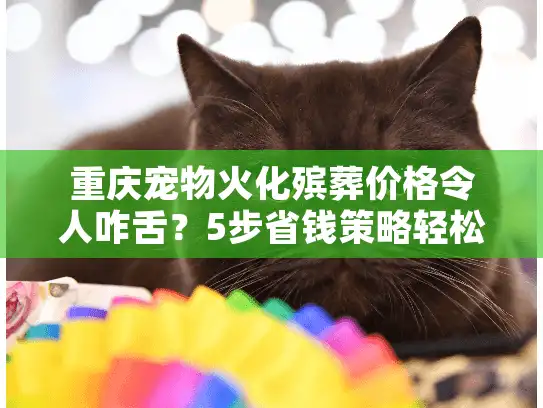 重庆宠物火化殡葬价格令人咋舌？5步省钱策略轻松避开高价陷阱