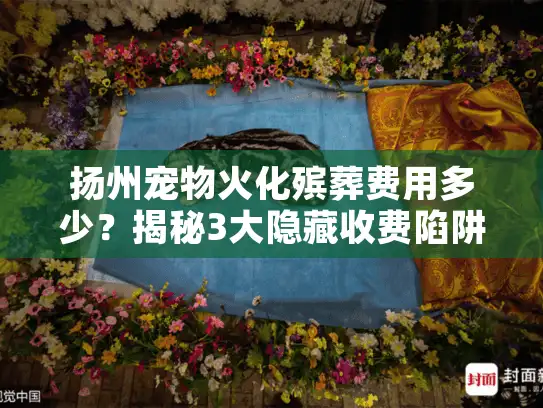 扬州宠物火化殡葬费用多少？揭秘3大隐藏收费陷阱