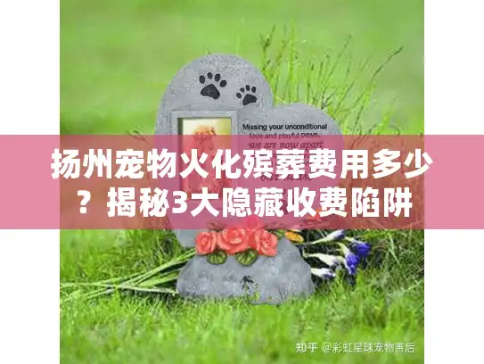 扬州宠物火化殡葬费用多少？揭秘3大隐藏收费陷阱
