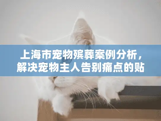 上海市宠物殡葬案例分析，解决宠物主人告别痛点的贴心方案