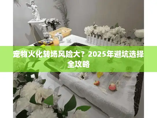 宠物火化转场风险大？2025年避坑选择全攻略
