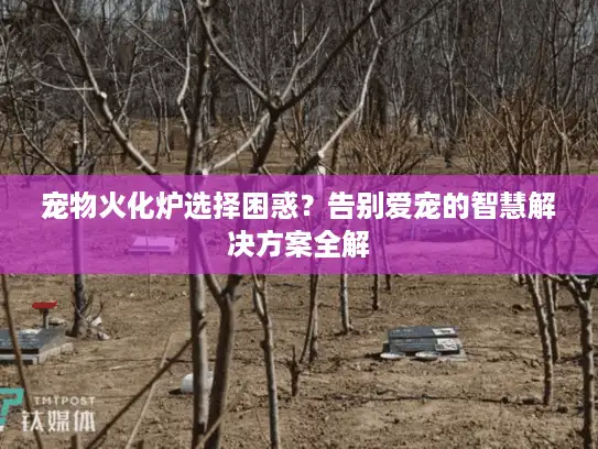 宠物火化炉选择困惑？告别爱宠的智慧解决方案全解
