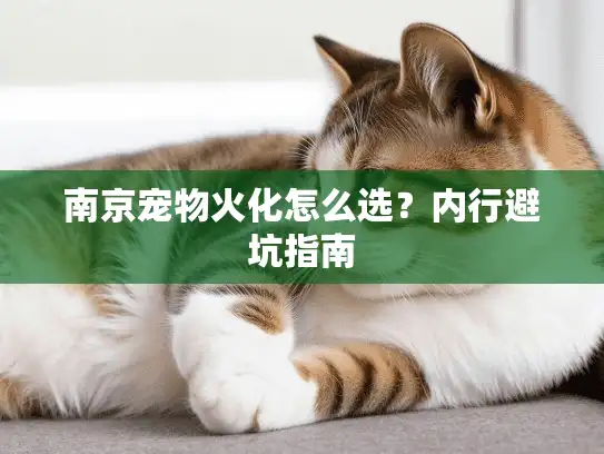 南京宠物火化怎么选？内行避坑指南