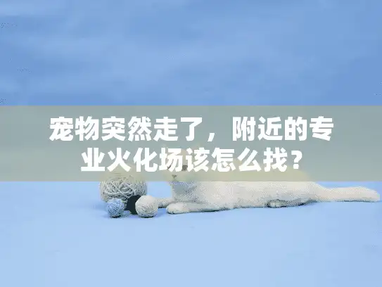 宠物突然走了，附近的专业火化场该怎么找？