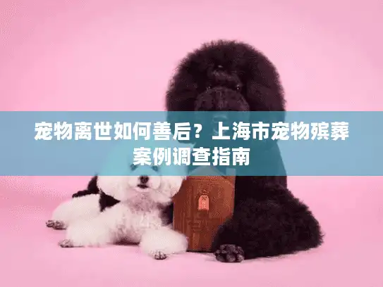 宠物离世如何善后？上海市宠物殡葬案例调查指南