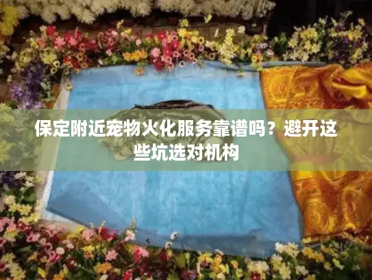 保定附近宠物火化服务靠谱吗？避开这些坑选对机构