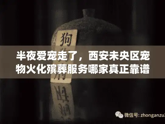 半夜爱宠走了，西安未央区宠物火化殡葬服务哪家真正靠谱？疑问句+痛点切入)