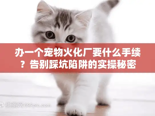 办一个宠物火化厂要什么手续？告别踩坑陷阱的实操秘密