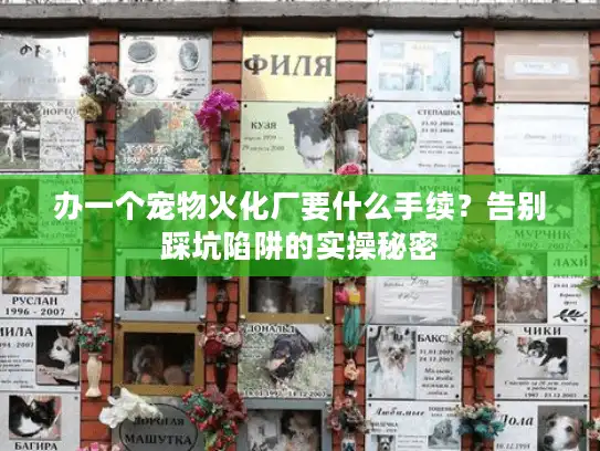 办一个宠物火化厂要什么手续？告别踩坑陷阱的实操秘密