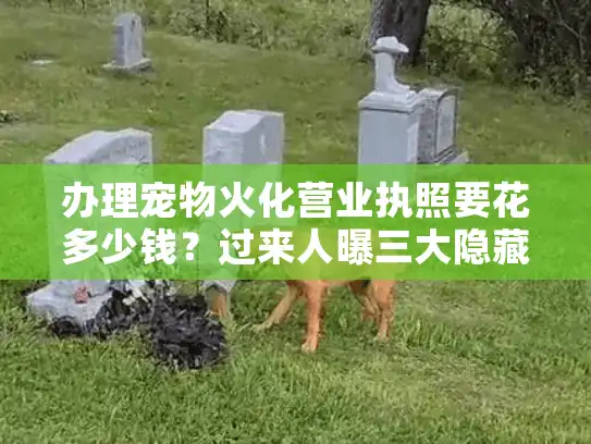 办理宠物火化营业执照要花多少钱？过来人曝三大隐藏收费坑